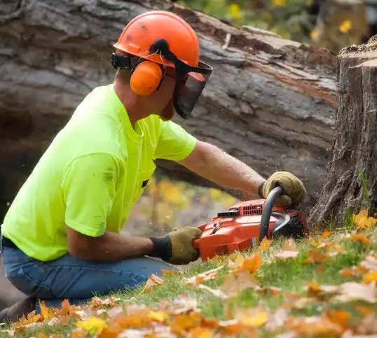 tree services Warsaw